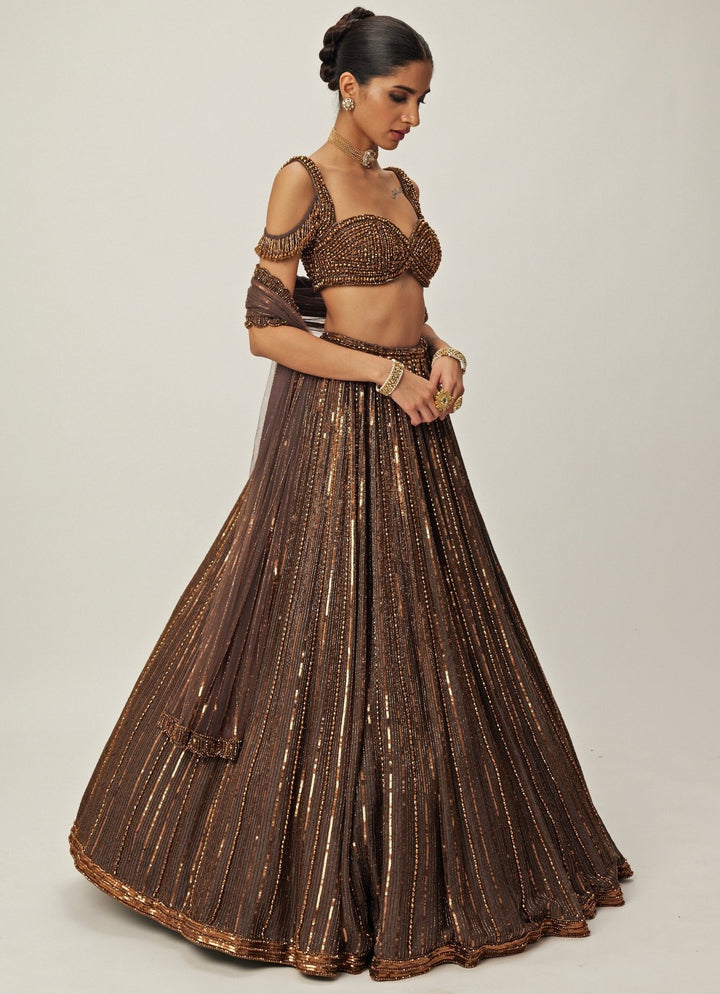 Copper Crystal Linear Embroidered Organza Lehenga Set Vvani By Vani Vats - Fabilicious Fashion
