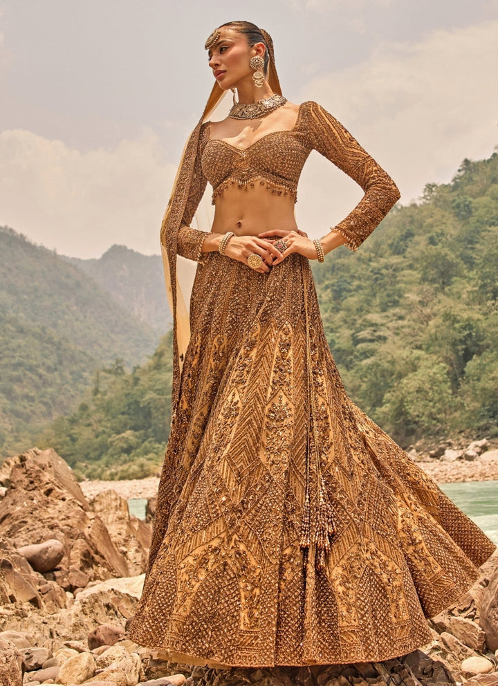 Nitika Gujral Copper Jewelled Soft Net Lehenga SetFabilicious Fashion