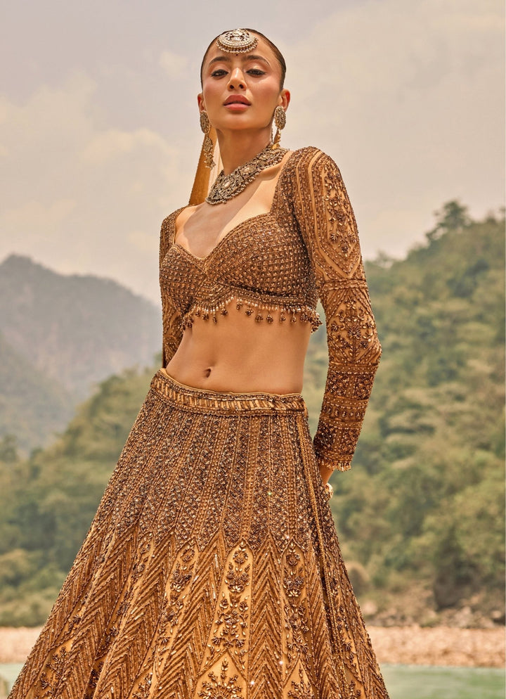 Nitika Gujral Copper Jewelled Soft Net Lehenga SetFabilicious Fashion