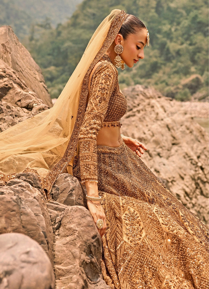 Nitika Gujral Copper Jewelled Soft Net Lehenga SetFabilicious Fashion