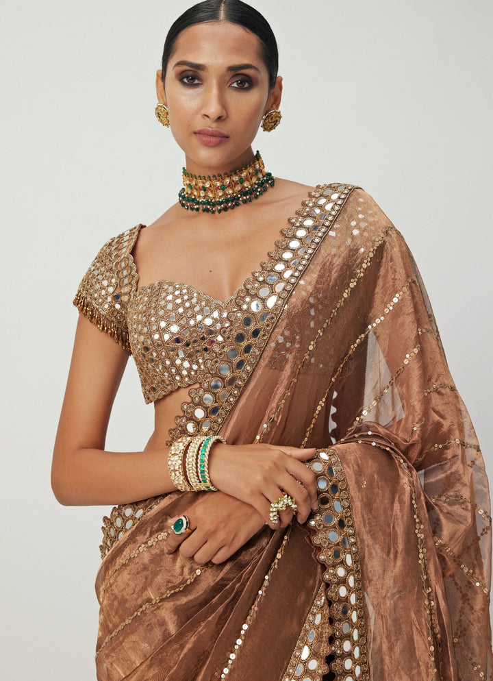 Copper Mirror Organza Saree With Cap Sleeves Embroidered Mirror Blouse Vvani By Vani Vats - Fabilicious Fashion