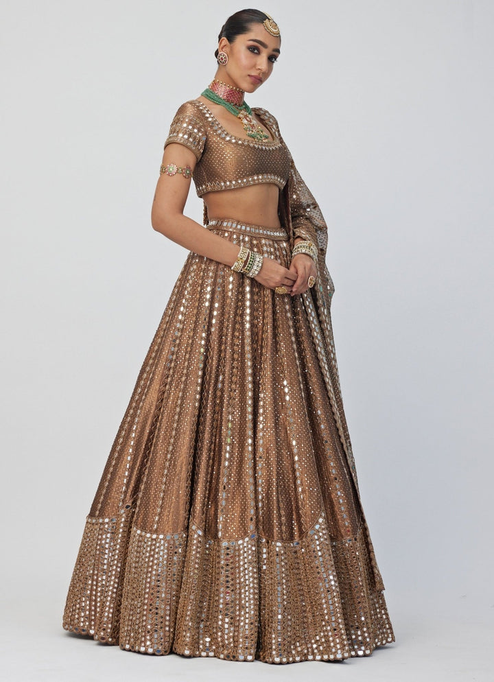 Copper Shimmer Sequins Embroidered Organza Lehenga Set Vvani By Vani Vats - Fabilicious Fashion