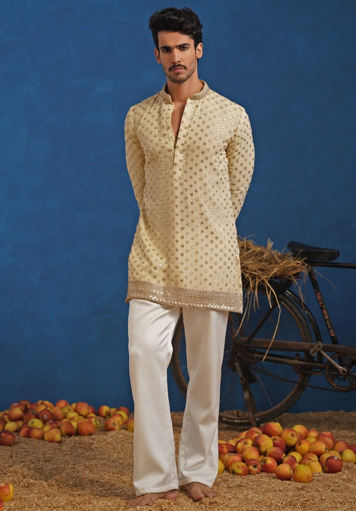 Cream Georgette Short Kurta Set Kalpraag - Fabilicious Fashion