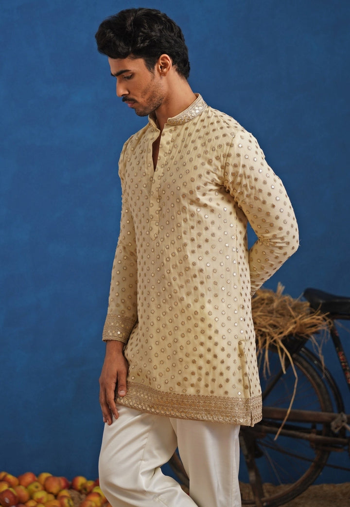 Cream Georgette Short Kurta Set Kalpraag - Fabilicious Fashion