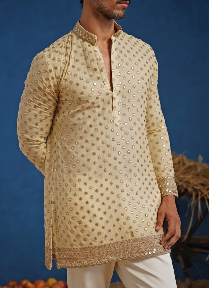 Cream Georgette Short Kurta Set Kalpraag - Fabilicious Fashion