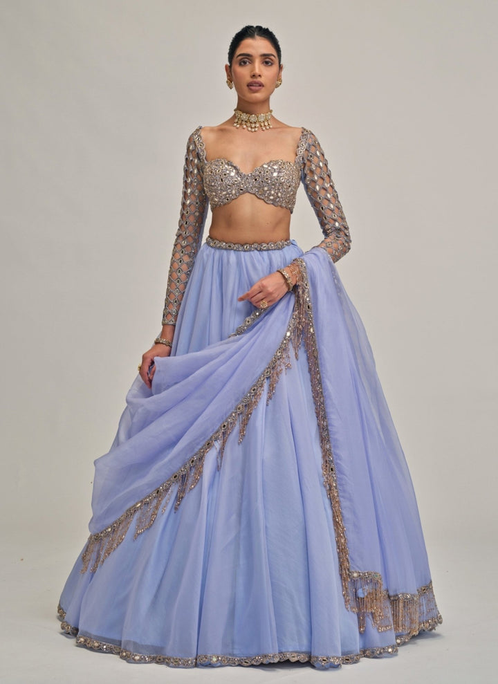Vvani by Vani Vats Dew Blue Embroidered Organza LehengaFabilicious Fashion