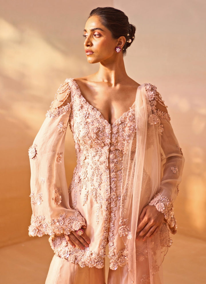 Nitika Gujral Dusty Pink Ombre Organza Kurta Garara SetFabilicious Fashion