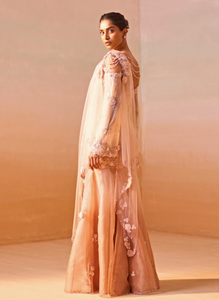 Nitika Gujral Dusty Pink Ombre Organza Kurta Garara SetFabilicious Fashion