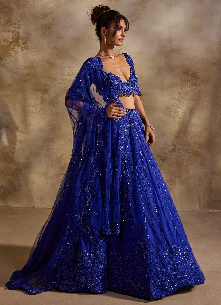Electric Blue Tulle Lehenga Set Nitika Gujral - Fabilicious Fashion