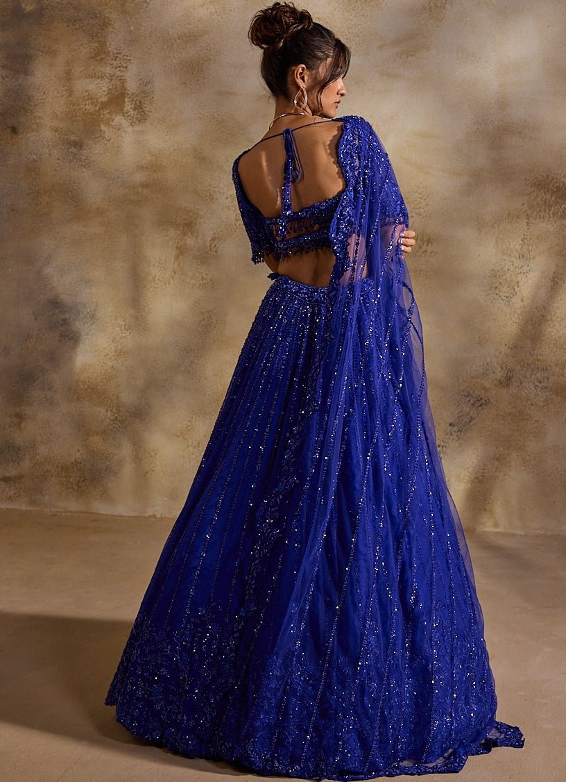 Electric Blue Tulle Lehenga Set Nitika Gujral - Fabilicious Fashion