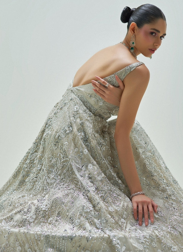 Frosted Silver Embroidered Gown Angad Singh - Fabilicious Fashion