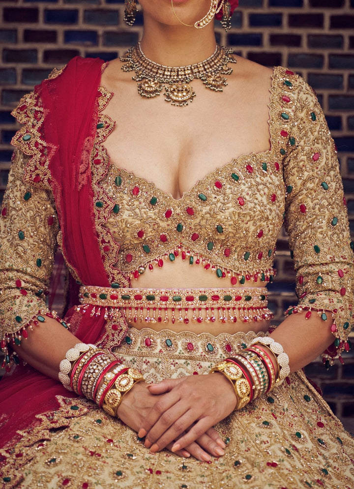 Gold Colour Tissue Embroidered Lehenga Nitika Gujral - Fabilicious Fashion