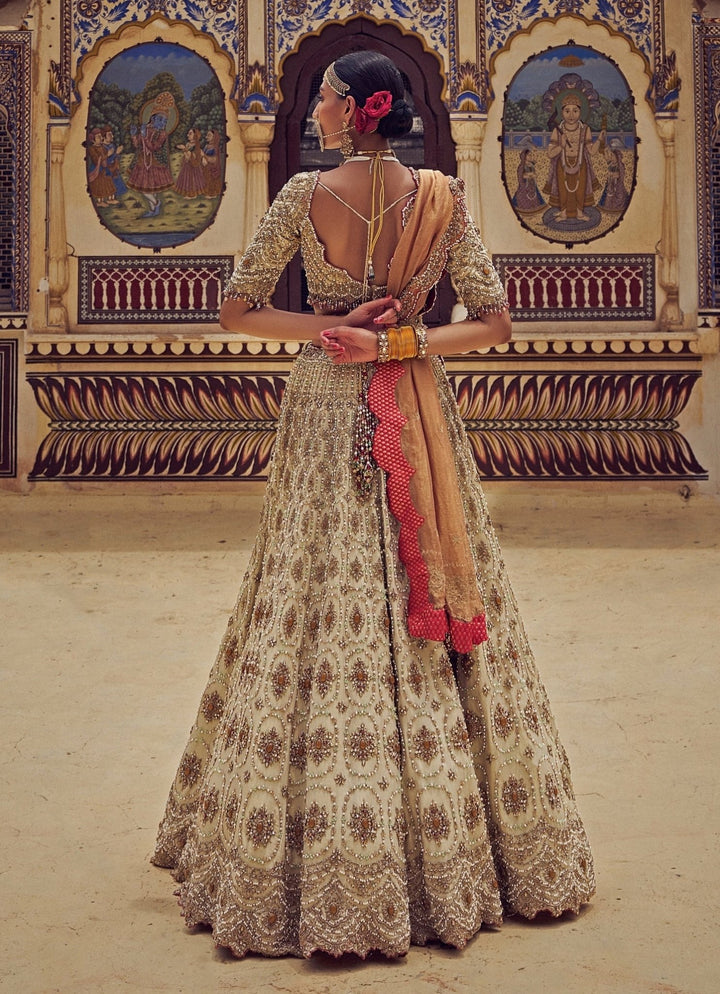 Gold Colour Tissue Embroidered Lehenga Nitika Gujral - Fabilicious Fashion