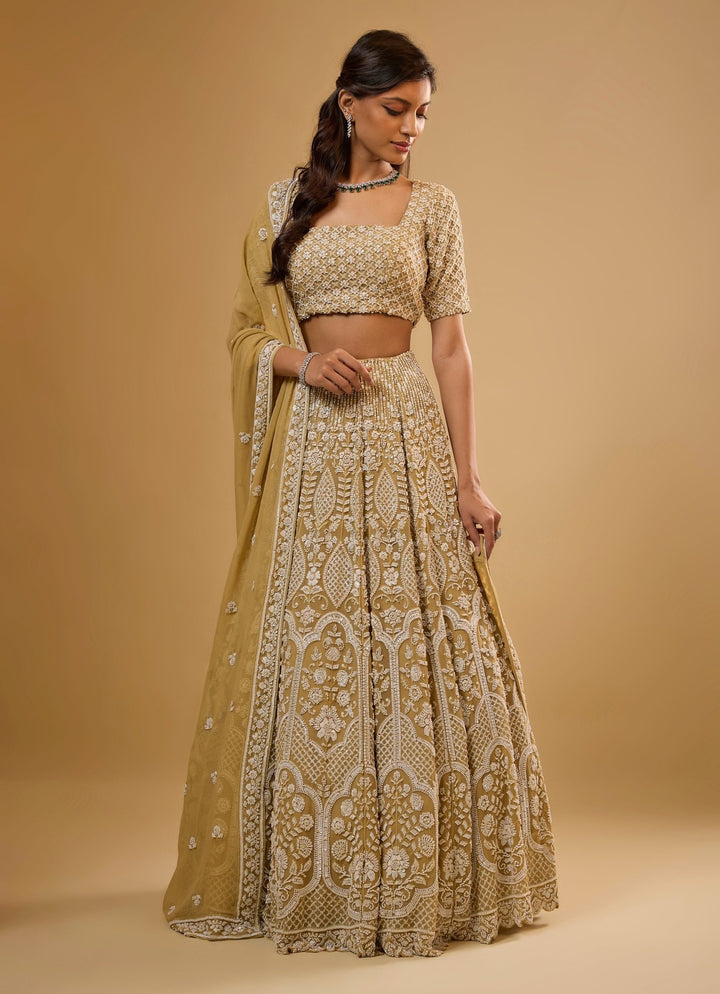 Gold Embroidered Georgette Lehenga Set Renee Label - Fabilicious Fashion
