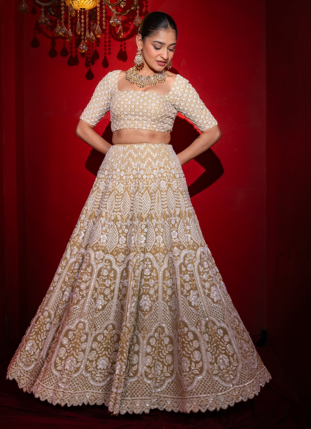 Gold Embroidered Georgette Lehenga Set Renee Label - Fabilicious Fashion