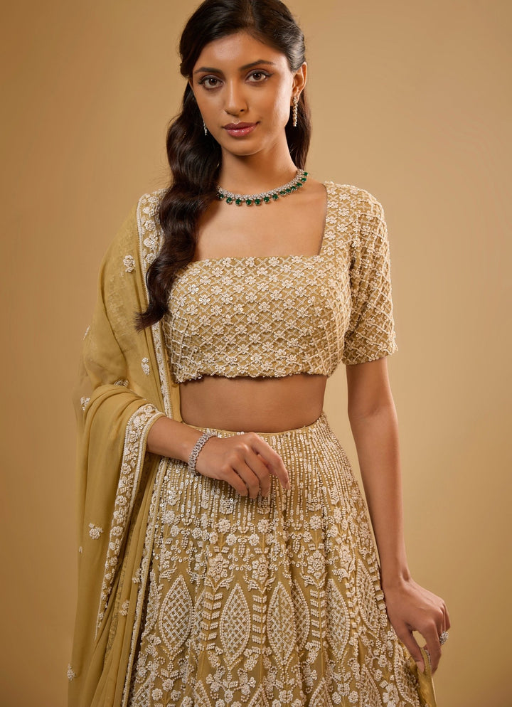 Gold Embroidered Georgette Lehenga Set Renee Label - Fabilicious Fashion