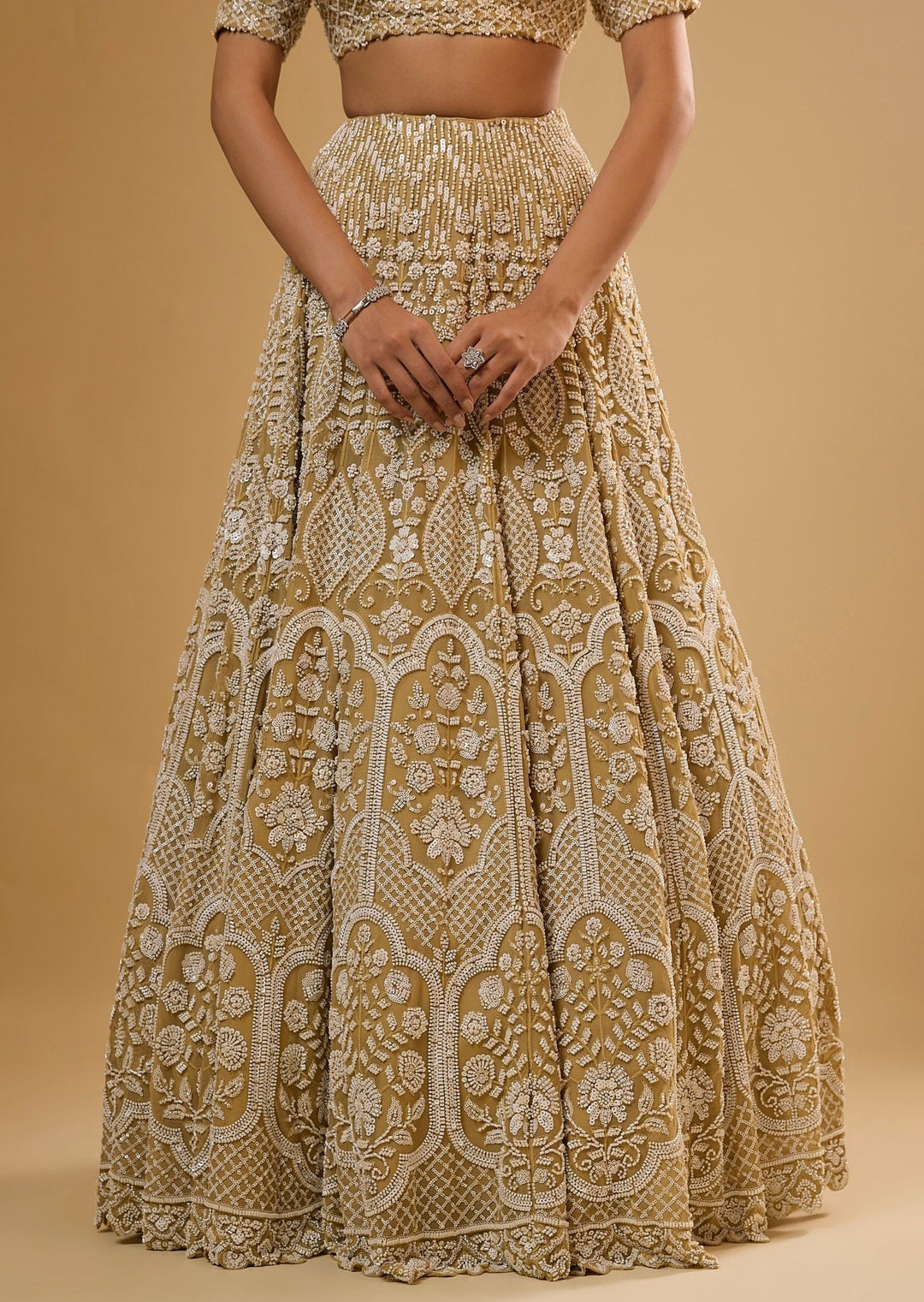 Gold Embroidered Georgette Lehenga Set Renee Label - Fabilicious Fashion