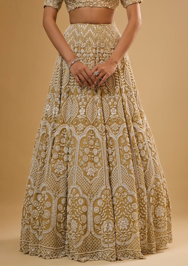 Gold Embroidered Georgette Lehenga Set Renee Label - Fabilicious Fashion