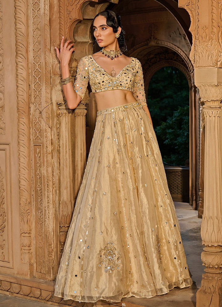 Gold Embroidered Silk Tissue Lehenga Set Zoon Tribe - Fabilicious Fashion