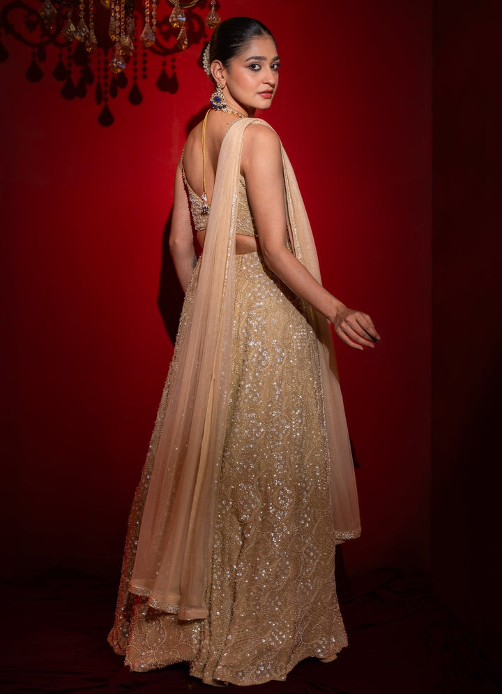 Gold Georgette Anarkali Gown Renee Label - Fabilicious Fashion