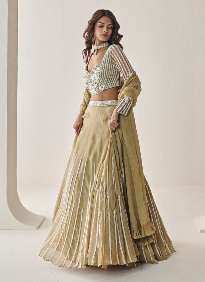 Seema Thukral Gold Georgette Lehenga SetFabilicious Fashion
