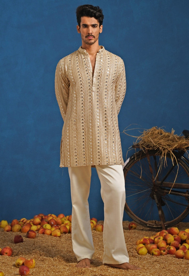 Gold Thread Georgette Short Kurta Set Kalpraag - Fabilicious Fashion