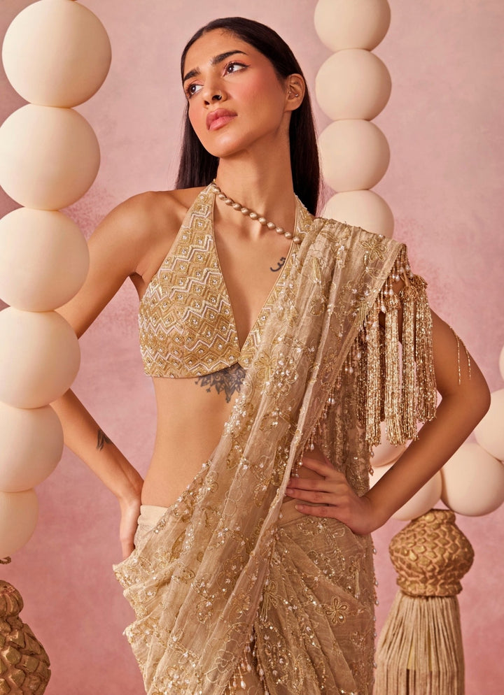 Chamee And Palak Gold Tissue Organza Pre-Draped SareeFabilicious Fashion