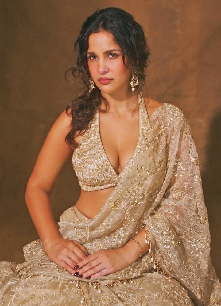 Chamee And Palak Gold Tissue Organza Pre-Draped SareeFabilicious Fashion