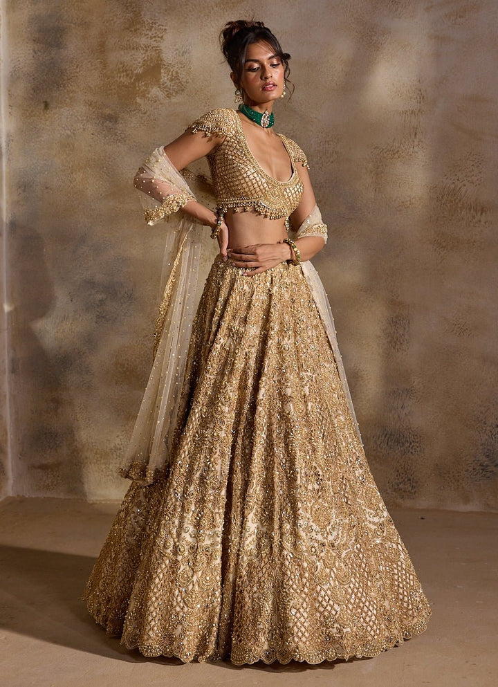 Gold Tulle Lehenga Set Nitika Gujral - Fabilicious Fashion