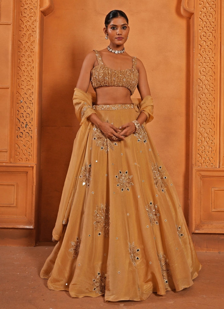 Gold Zari Embroidered Chiffon Lehenga Enamour by Radha - Fabilicious Fashion