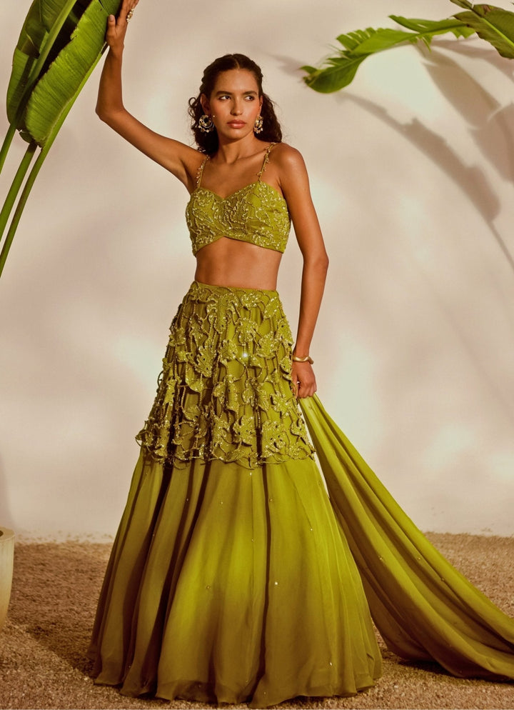 Green Appliqué Embroidered Lehenga Set Silky Bindra - Fabilicious Fashion
