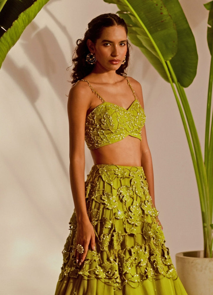 Green Appliqué Embroidered Lehenga Set Silky Bindra - Fabilicious Fashion