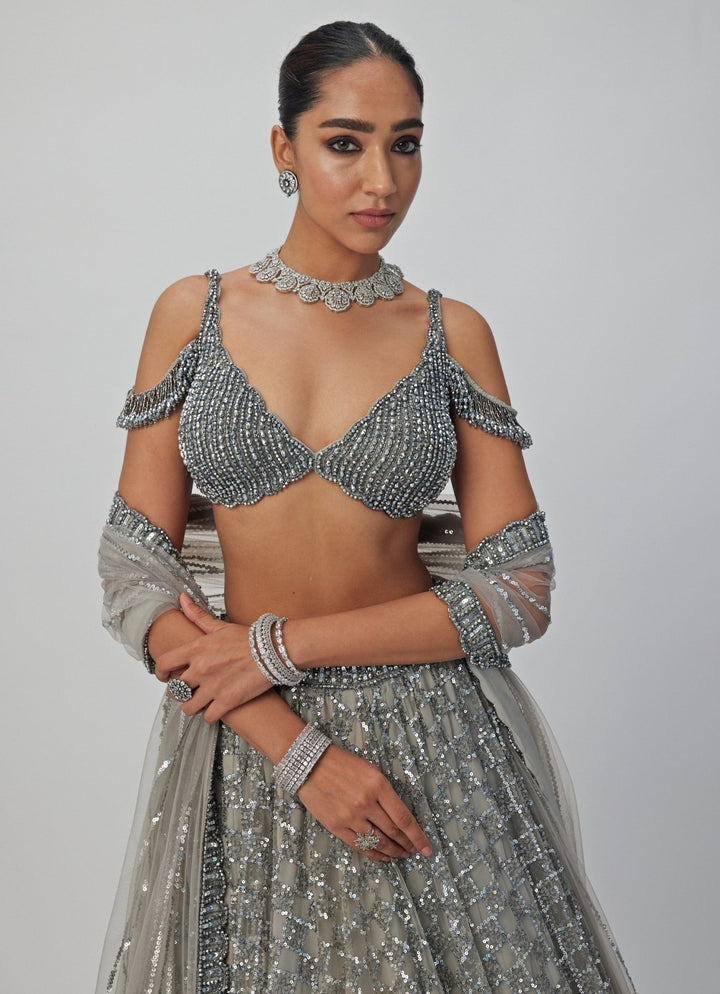 Grey Crystal And Sequin Embroidered Lehenga Set Vvani By Vani Vats - Fabilicious Fashion