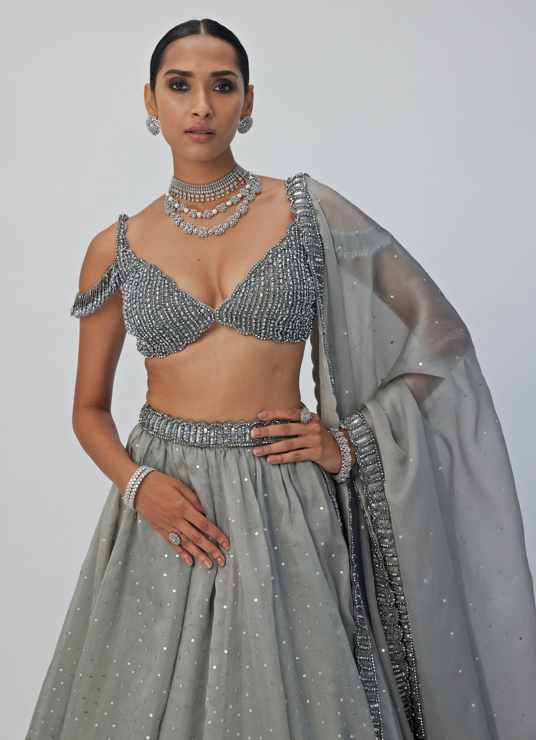 Grey Crystal And Sequin Embroidered Lehenga Vvani By Vani Vats - Fabilicious Fashion