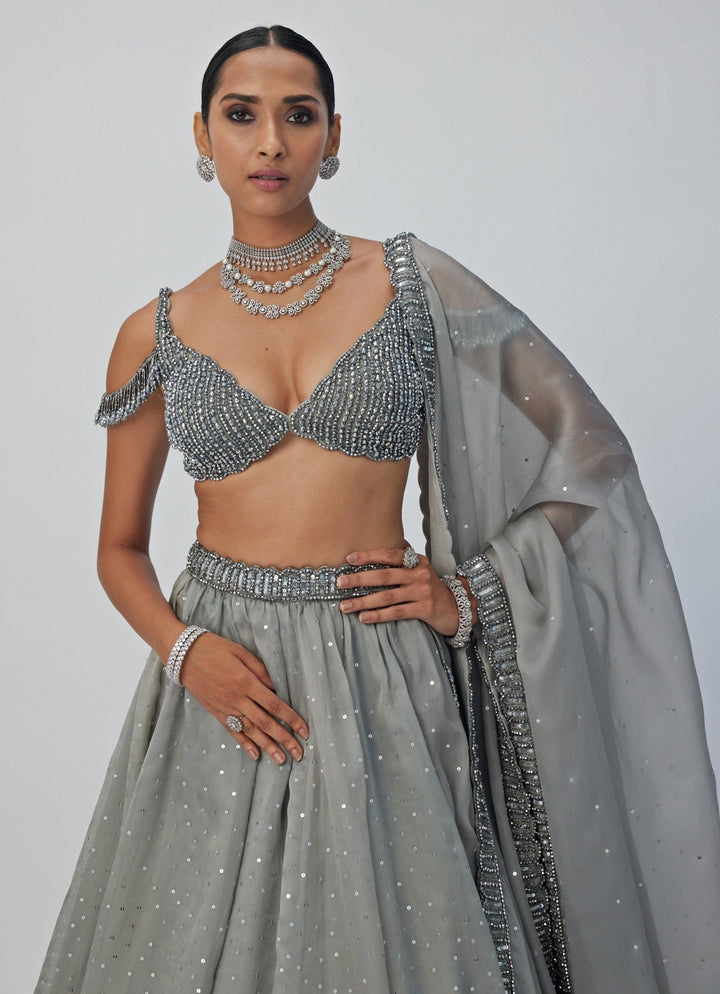 Grey Crystal And Sequin Embroidered Lehenga Vvani By Vani Vats - Fabilicious Fashion