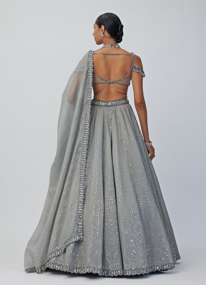 Grey Crystal And Sequin Embroidered Lehenga Vvani By Vani Vats - Fabilicious Fashion