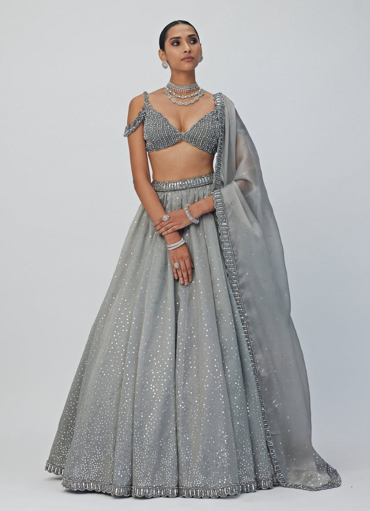 Grey Crystal And Sequin Embroidered Lehenga Vvani By Vani Vats - Fabilicious Fashion