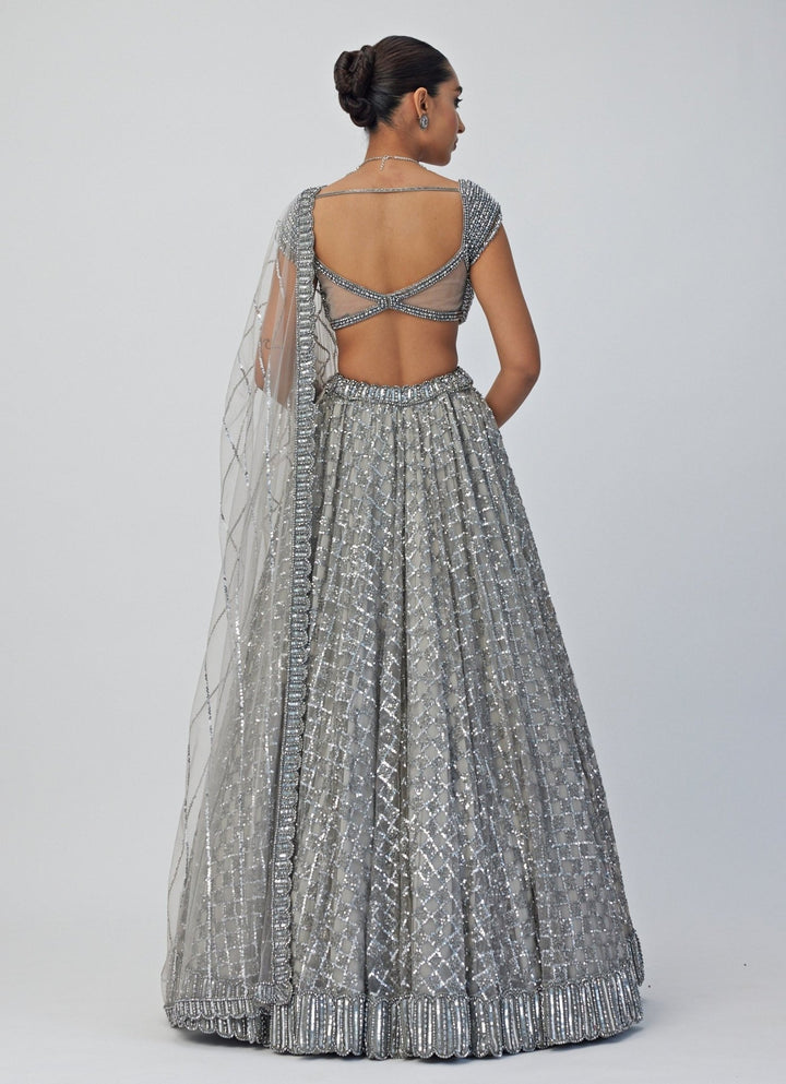 Grey Crystal And Sequin Embroidered Net Lehenga Set Vvani By Vani Vats - Fabilicious Fashion