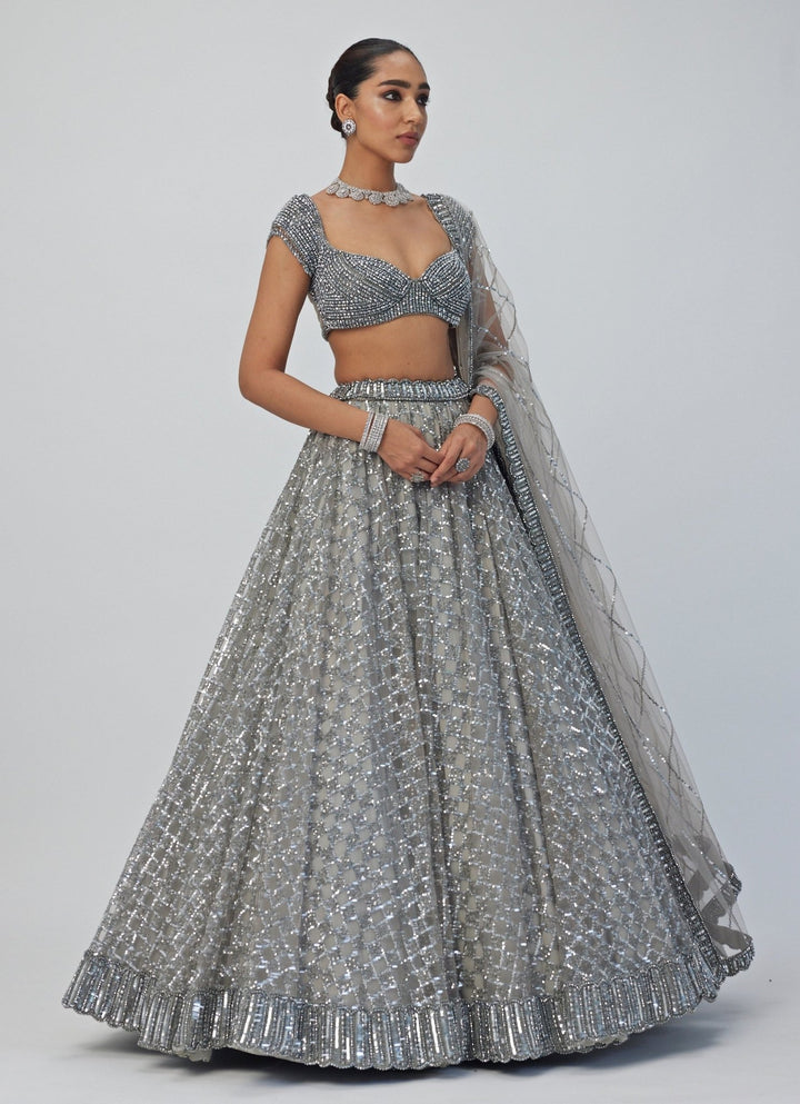 Grey Crystal And Sequin Embroidered Net Lehenga Set Vvani By Vani Vats - Fabilicious Fashion