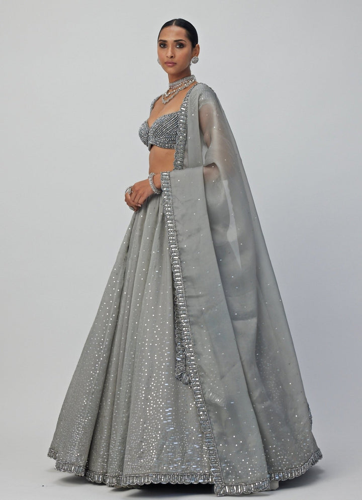 Grey Crystal And Sequin Embroidered Organza Lehenga Set Vvani By Vani Vats - Fabilicious Fashion
