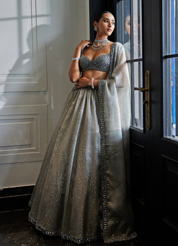 Grey Crystal And Sequin Embroidered Organza Lehenga Set Vvani By Vani Vats - Fabilicious Fashion