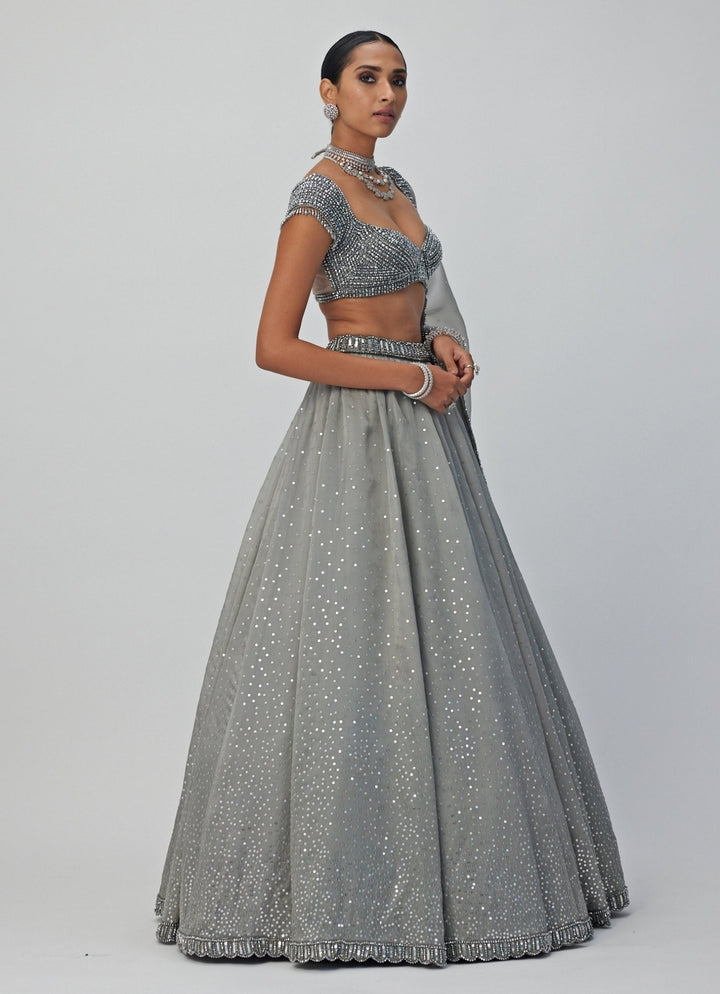 Grey Crystal And Sequin Embroidered Organza Lehenga Set Vvani By Vani Vats - Fabilicious Fashion