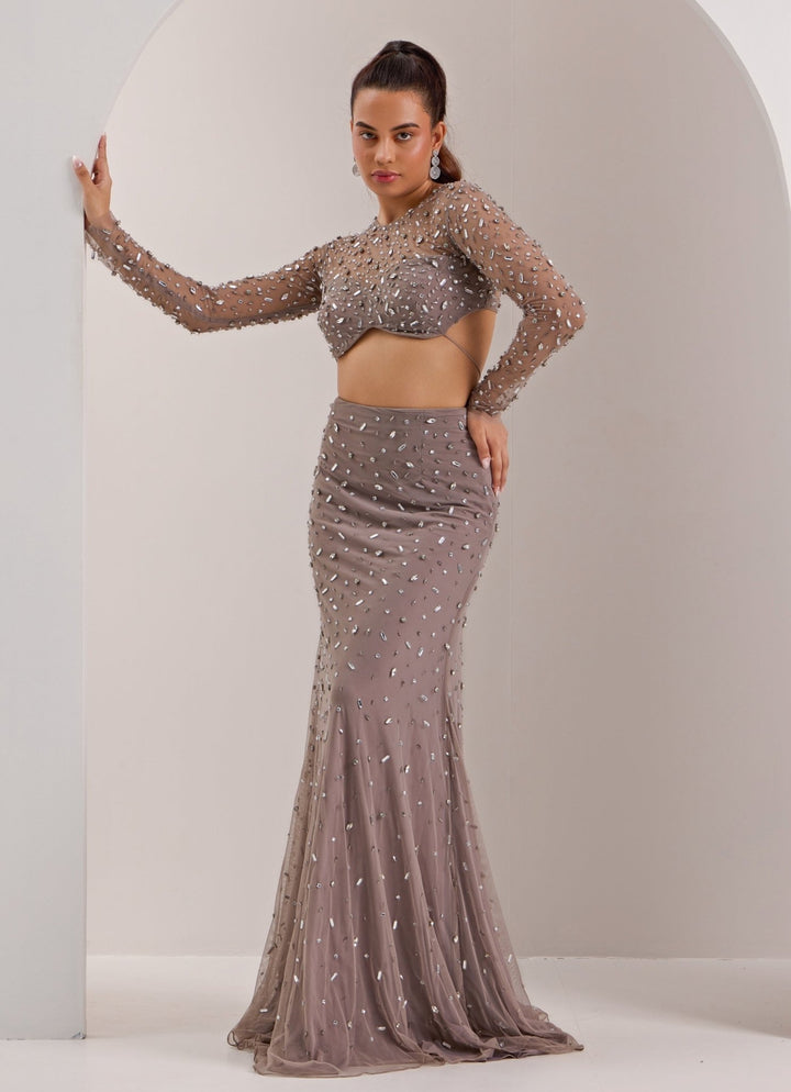 Grey Embellished Net Skirt Set Silky Bindra - Fabilicious Fashion