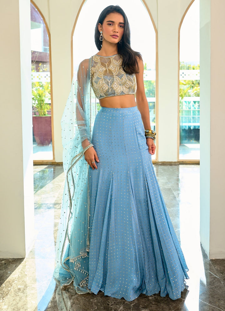 Grey Georgette Embellished Skirt set Chamee and Palak - Fabilicious Fashion