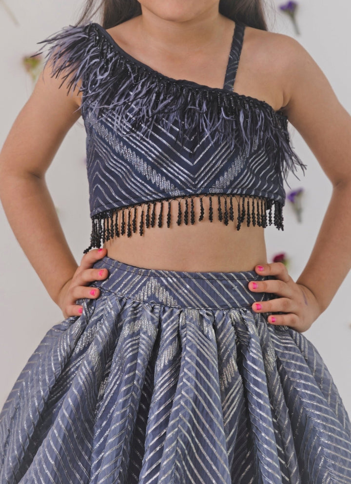 Grey Organza Lehenga Set Chotibuti - Fabilicious Fashion