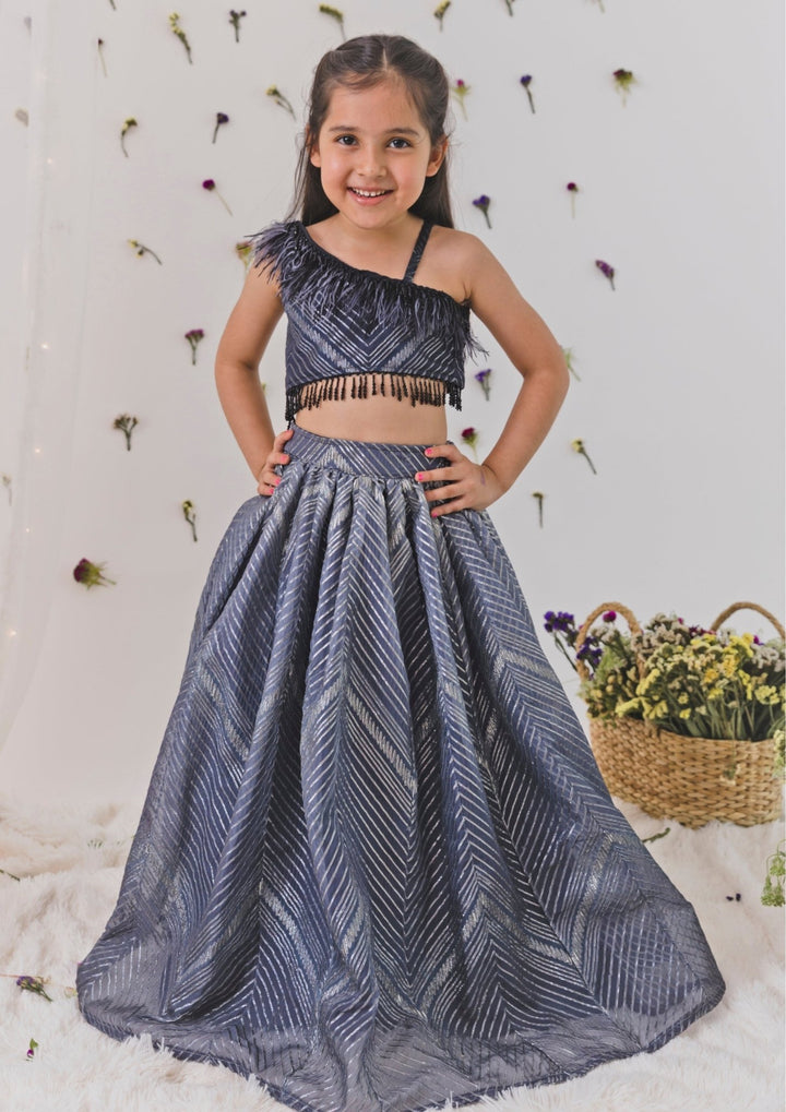 Grey Organza Lehenga Set Chotibuti - Fabilicious Fashion