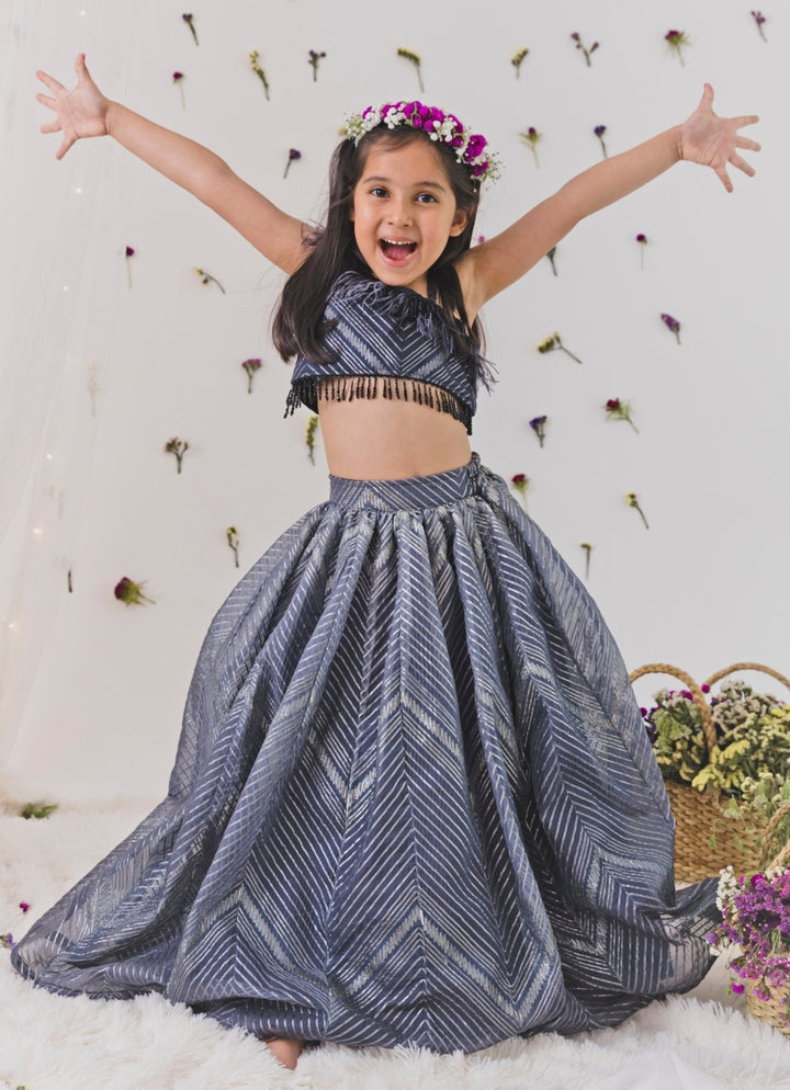 Grey Organza Lehenga Set Chotibuti - Fabilicious Fashion