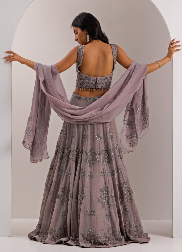 Grey Snowflake Embellished Lehenga Set Silky Bindra - Fabilicious Fashion