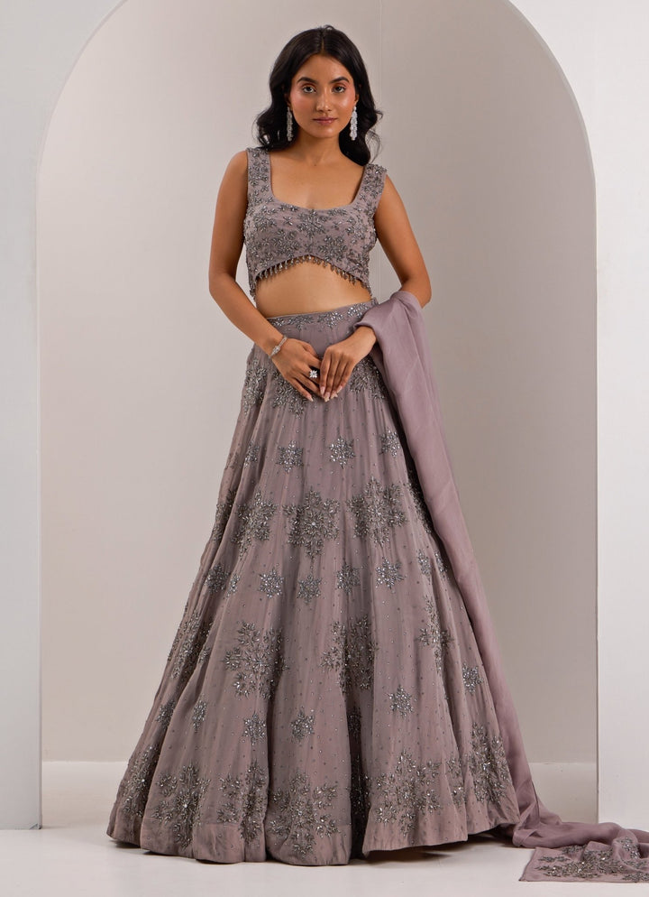 Grey Snowflake Embellished Lehenga Set Silky Bindra - Fabilicious Fashion