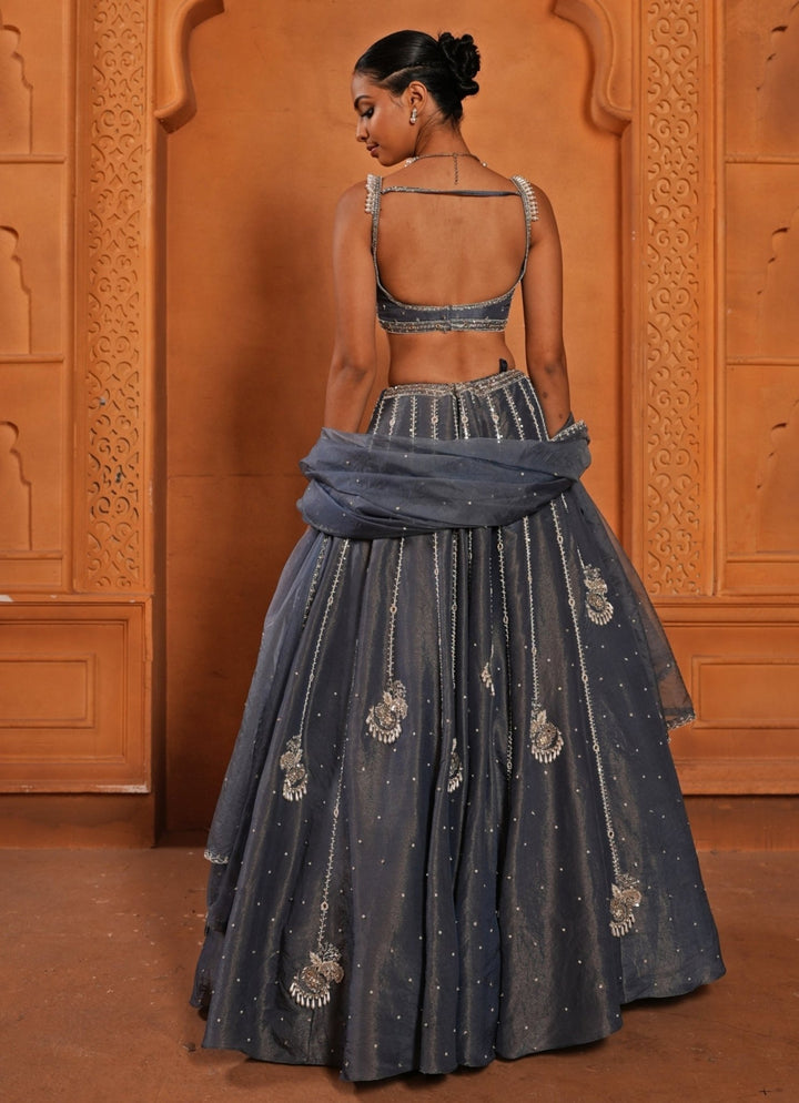 Greyish Blue Zari Silk Lehenga Enamour by Radha - Fabilicious Fashion